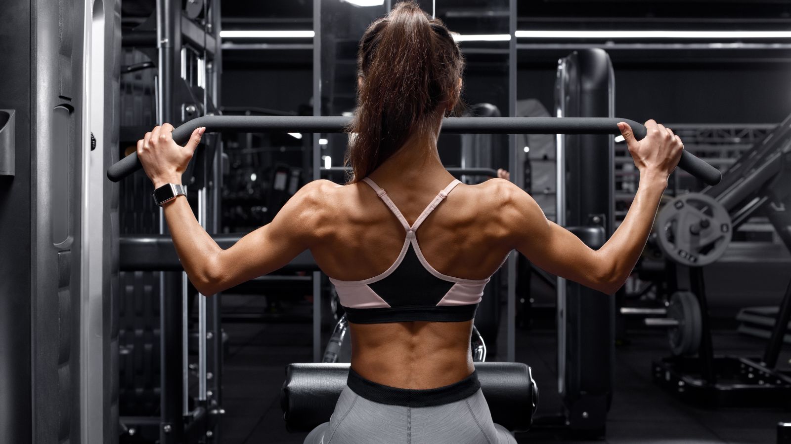 คู่มือการใช้งานอุปกรณ์ฟิตเนส - รุ่น Back Training