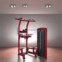 เครื่อง Dip & Pull-Up ที่ได้รับความช่วยเหลือ