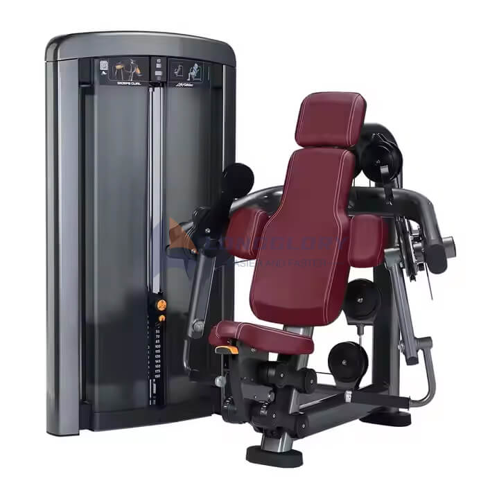 Bicep Curl และ Triceps Machine